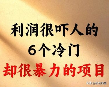 ​利润很吓人的6个冷门却很暴利的项目