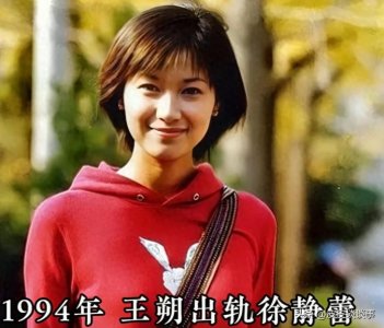 ​王朔徐静蕾：从爱得轰轰烈烈到分后仍情深意重，豪宅相赠显真情！