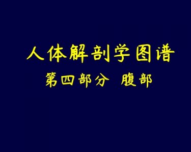 ​图示集‖人体解剖学图谱之第四部分腹部