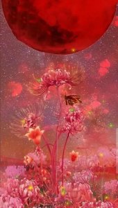 ​曼珠沙华|彼岸花专题文案