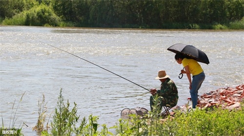 钓鱼图片大全