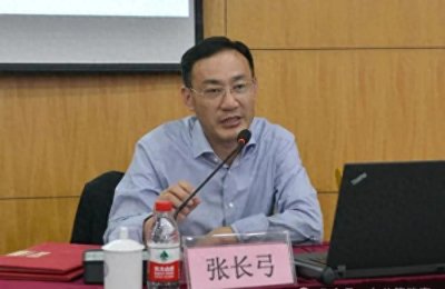 ​标题：金融贪腐风暴：张长弓揭开高官黑幕