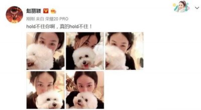 ​赵丽颖产后首晒自拍照，怀抱爱犬素颜出镜，笑眼迷人状态好