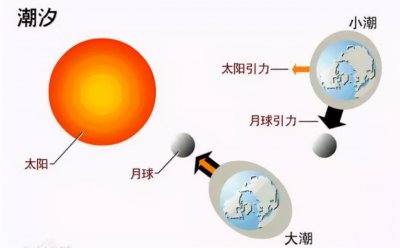 ​【知识科普】什么是天文大潮