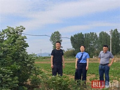 ​自家矿石被偷，为何报警人也获刑？检察官揭秘“案中案”