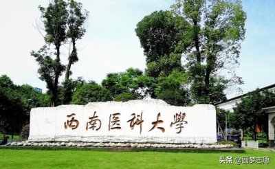 ​西南医科大学：就业率最高的十大专业盘点，仅有一个与医学无关