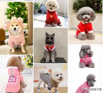 ​赚钱却没人愿意干的生意，盘点十大冷门暴利行业，闷声发财