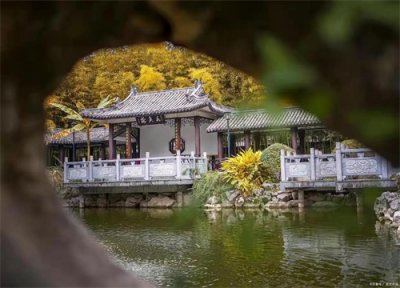 ​甲乙丙丁代表的含义