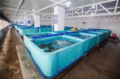 ​盘点中国十大海鲜市场名单出炉；有你的家乡吗