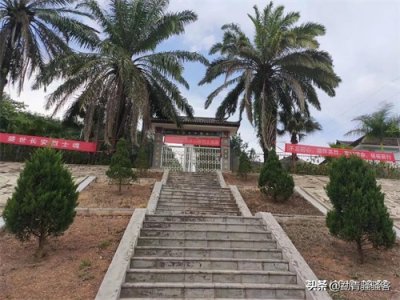 ​麻古三块一颗，冰毒70一克还是零售价，真的假的？科普金三角