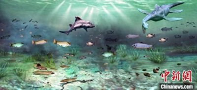 ​三叠纪大灭绝后陆地生态如何复苏？1.9亿年前“渝州生物群”揭秘