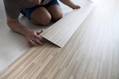 ​家居警报：夹板虫的秘密——揭秘它们的出现与应对之道