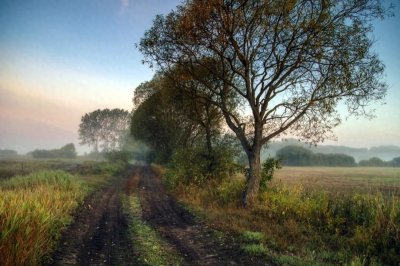 ​其实，男人说“我想你”，是这些意思