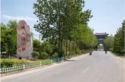 ​连云港舌尖上的“豆丹”被称为“绿色人参”敢问君可否斗胆一试？