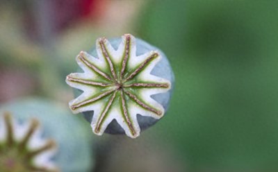 ​刑事案件取保候审后的结案时间