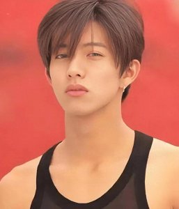 ​亚洲十大美男排行榜:看看你的爱豆有没有上榜