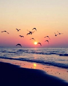 ​最新！桂林市十大高中排名汇总，你的母校上榜了吗？