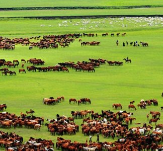 ​同是蒙古族，内蒙古是怎样看待蒙古国的，是亲戚还是外国人？