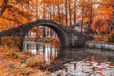 ​苏杭三天两晚跟团游分享，苏杭三日旅行攻略，苏杭秋日游