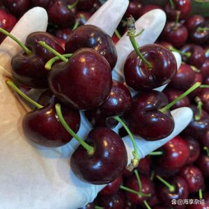 ​终于知道车厘子名字的由来了