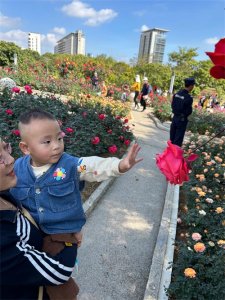 ​蝶恋花·春节携游香蜜湖公园