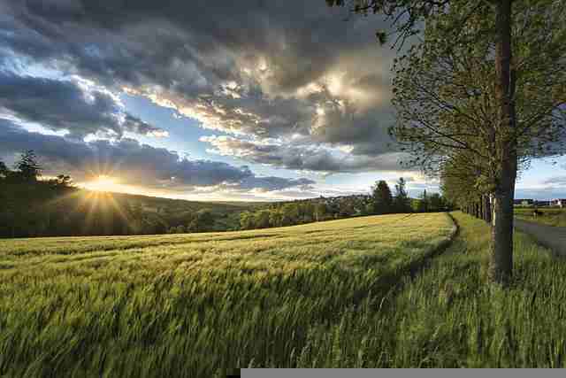 描写友谊的优美句子