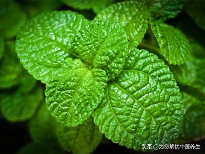 ​桂枝汤，加减汤