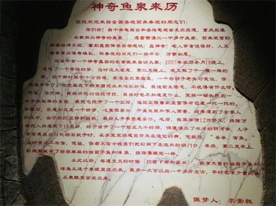 ​重庆一老人在家挖出“神奇鱼泉”，每天收鱼上千斤，是真还是假？