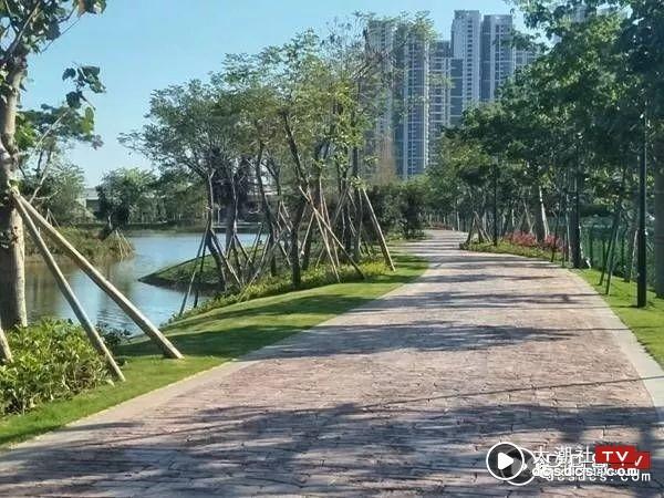 3、汕头湾湿地公园