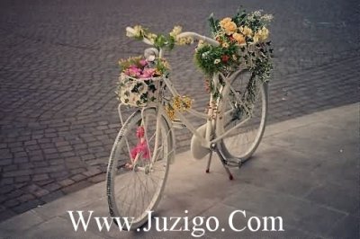 ​大冰的书经典句子大冰好吗好的经典句子(精选65句)