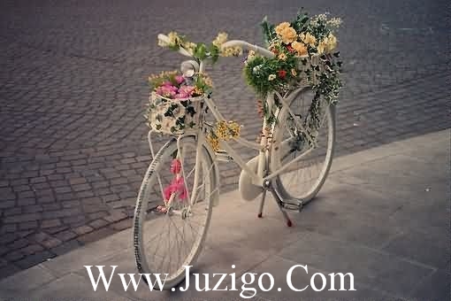 大冰的书经典句子大冰好吗好的经典句子(精选65句)