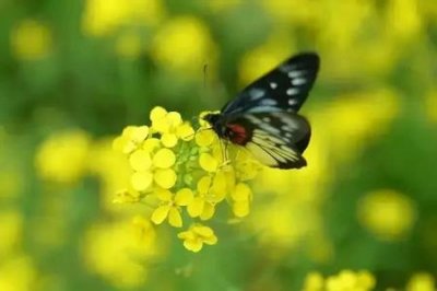 ​希望一直的单身 最后能换来一个特别值得的人