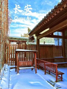 ​冬雷震醒了西安人，世界都震惊了吗？