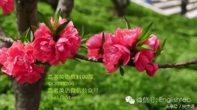 ​Work out 有那些基本意思