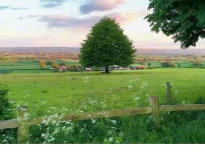 关于旅行的唯美短句