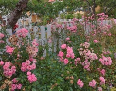 ​关于军训的唯美句子简