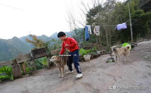 贵州8岁女拳手“小汤圆”的梦想：成为“世界拳王”