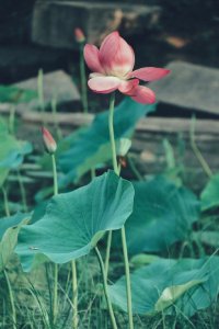 ​关于人生感悟感受的句