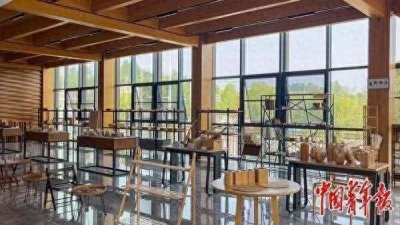 ​Cracking the Code: Bamboo