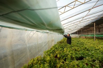 ​（经济）河北柏乡：发