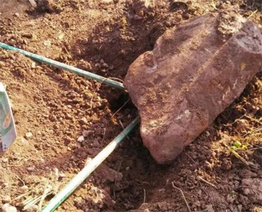 ​事出反常必有妖