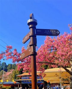 ​旅游记~东莞观音山