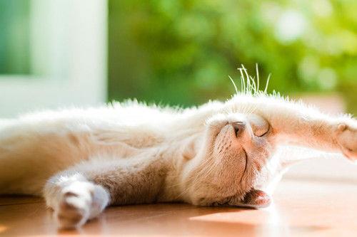 2025年经典唯美经典的句子锦集85条