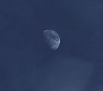 ​经典生活感悟句子60条