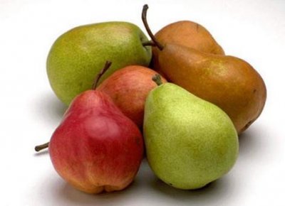 ​香蕉梨的种植技术-香蕉