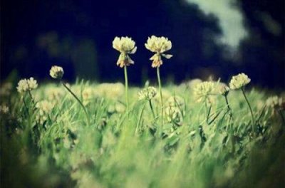 ​朋友圈感谢顾客的话语