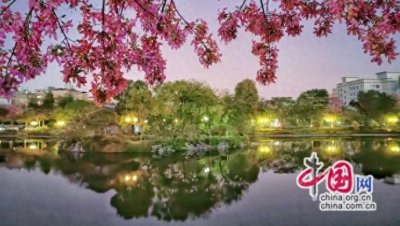 ​售票员：小窗口大舞台