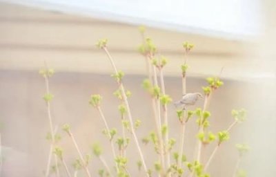 ​百度屏蔽广告怎么取消