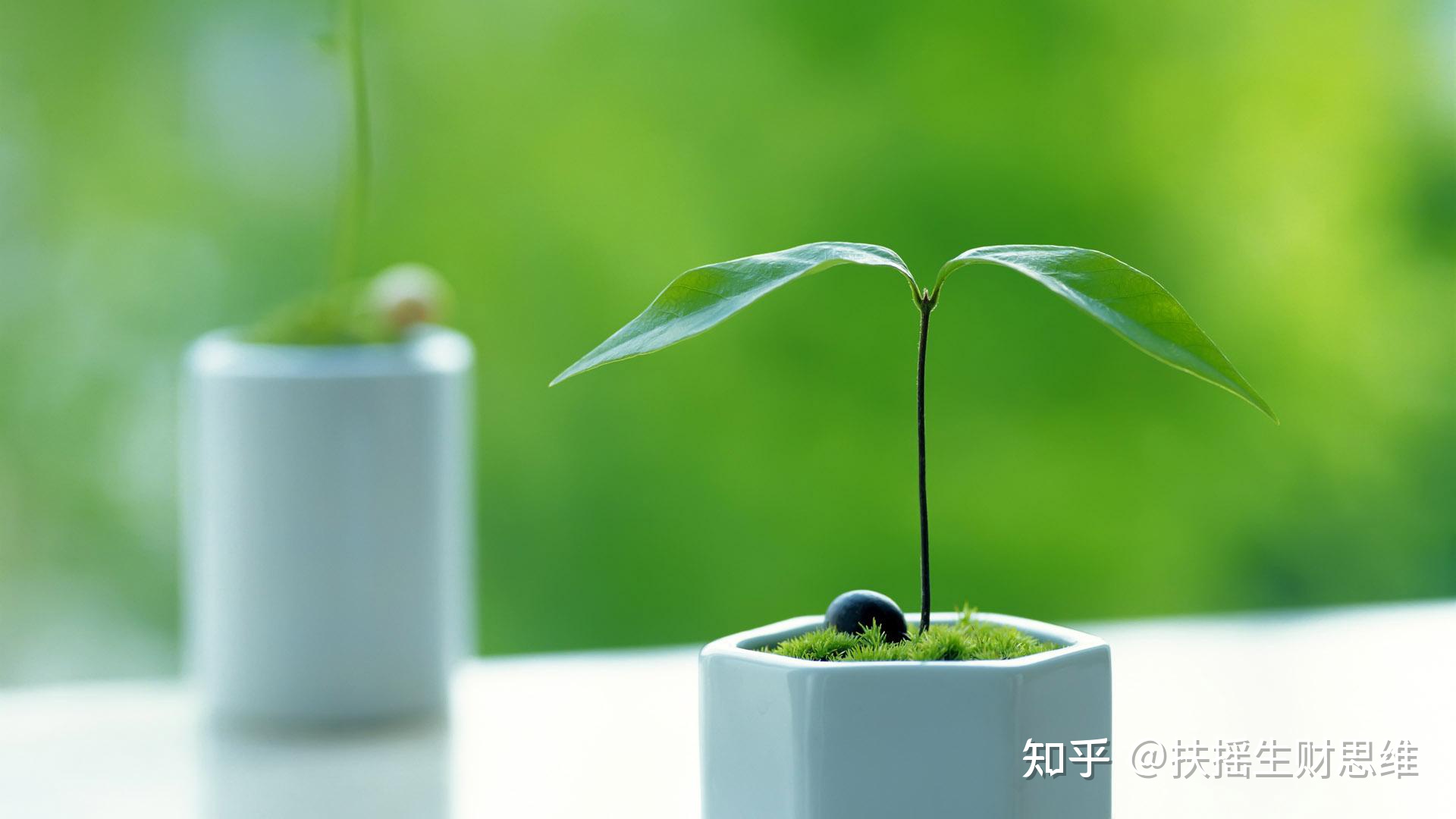 什么手艺好学又赚钱一个月出师：学什么技术又快又挣钱