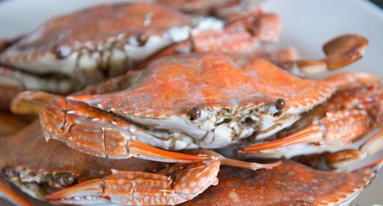 新鲜梭子蟹怎么保存一年方法